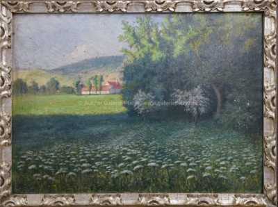 František Xaver Harlas - Rozkvetlá louka