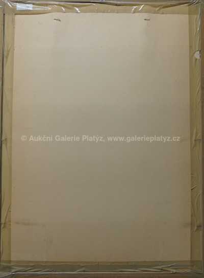  / Imaginární portrét Edgara Allana Poe / Adolf Born