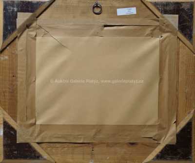  / Daleký pohled / Alois Schneiderka