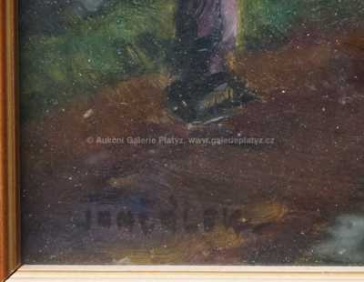  / Na projížďce / Cyril Jančálek