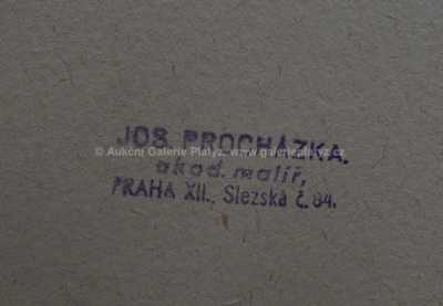  / Kočovníci / Josef Procházka
