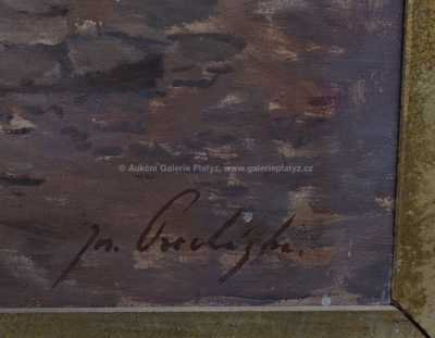  / Lesní potok / Josef Procházka