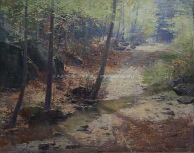  / Lesní potok / Josef Procházka