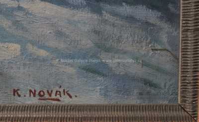  / Zasněžený les / Karel Novák