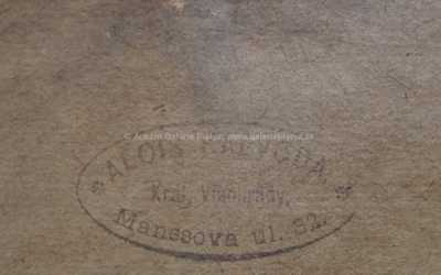  / Vlčí máky / Alois Kalvoda