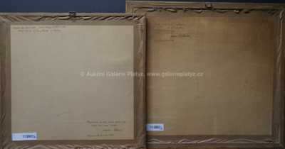  / Konvolut dvou kusů / Josef Krejsa