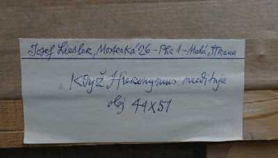  / Když Hieronymus medituje / Josef Liesler