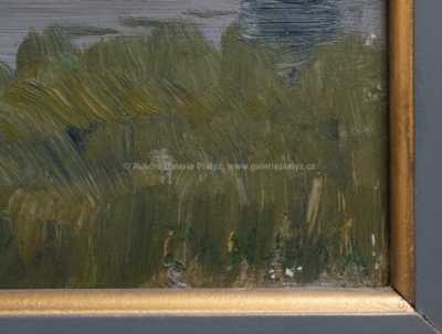  / Duch rybníka / Jaroslav Panuška