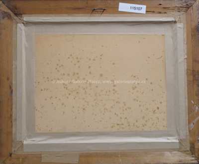  / Stromy v krajině / Ota Bubeníček