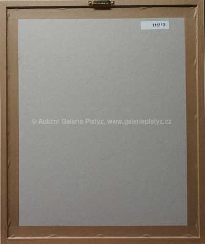  / Přepadení / Zdeněk Burian