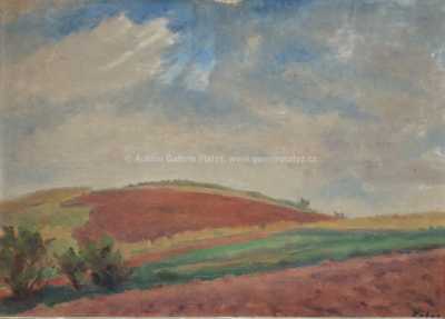  / Z polí / Václav Rabas