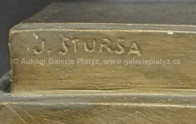  / Raněný / Jan Štursa