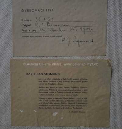  / Na táborsku / Karel Jan Sigmund