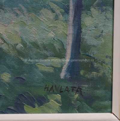  / Průhled lesem / Karel Havlata