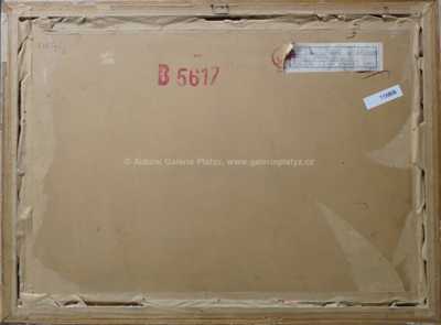  / Vítěz / Jan Bedřich Plaček