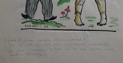  / Konvolut sedmnácti kusů / Marie Vořechová-Vejvodová