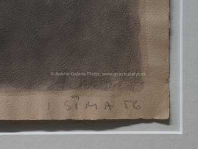  / Kapky světla / Josef  Šíma