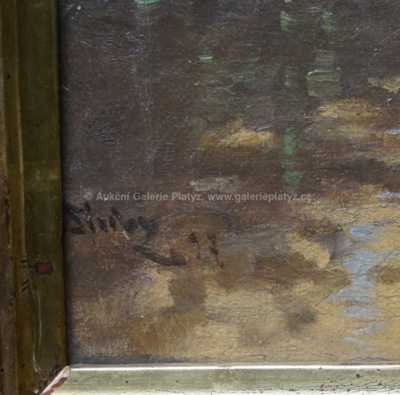  / Zrcadlení / František Slabý