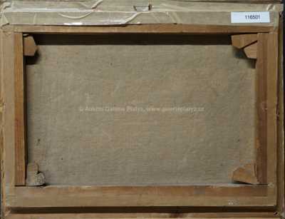  / Zrcadlení / František Slabý