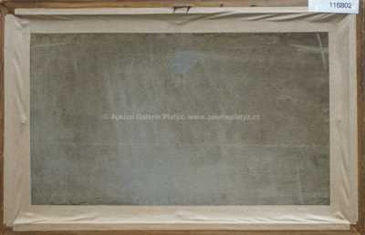  / U jezera / Karel Liebscher