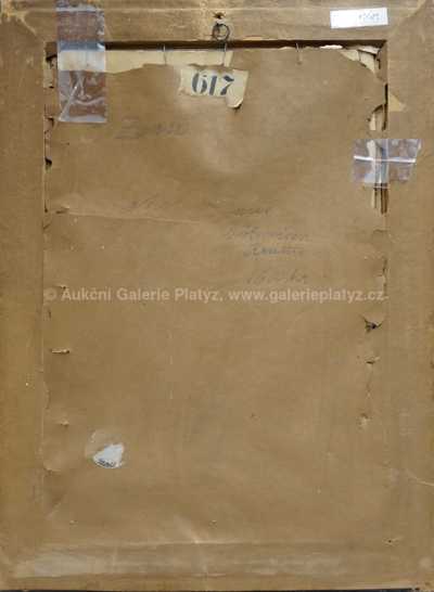 / Motiv z Českého Krulmova / Salomon Zorn