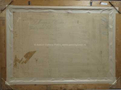  / Opatie / Stanislav Feikl