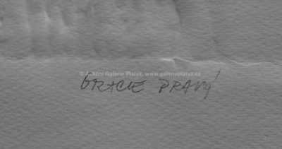  / Gracie / Olbram Zoubek