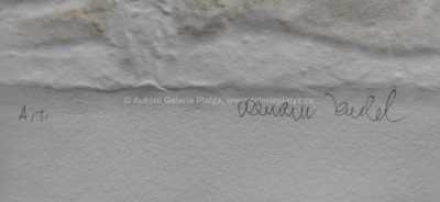  / Usínání / Olbram Zoubek