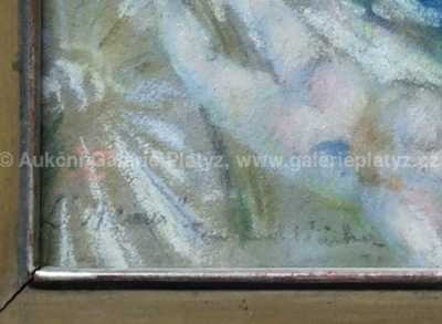  / Dáma v kočáru / Fernand Vácha