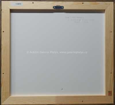  / Z Paříže / František Tavík Šimon