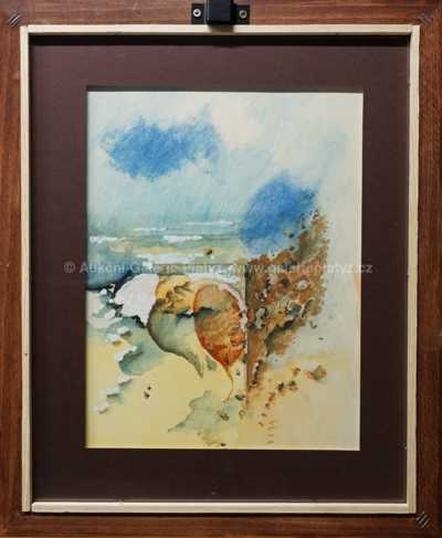  / Fantazie / Krištof Kintera