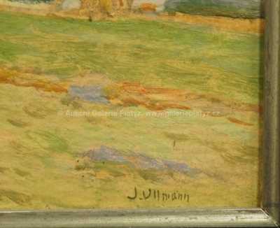 / Statek ve stráni / Josef Ullmann
