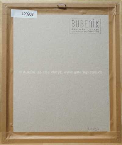  / Dívka s draperií / Olbram Zoubek