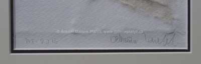  / Dívka s draperií / Olbram Zoubek