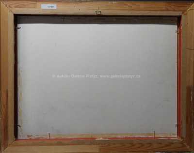  / Čarodějův les / Jaroslav Panuška