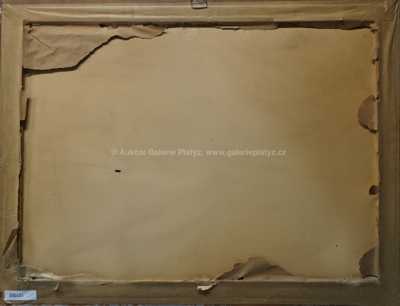  / Hrad Trenčín / Jindřich  Sitte