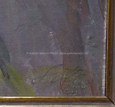  / Hrad Trenčín / Jindřich  Sitte