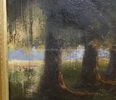  / Dáma v aleji / Václav Březina