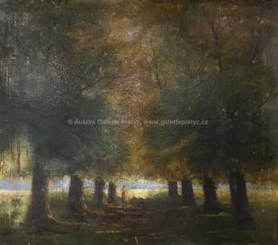  / Dáma v aleji / Václav Březina