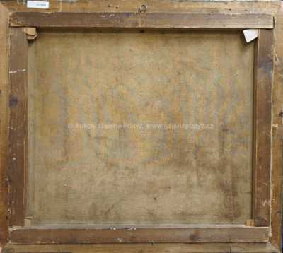  / Dáma v aleji / Václav Březina