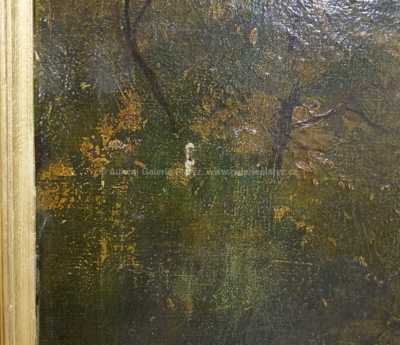  / Dáma v aleji / Václav Březina