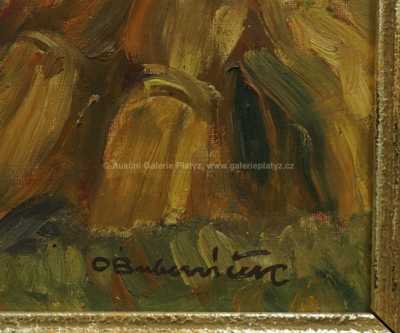  / Před bouří / Ota Bubeníček