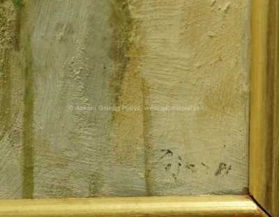  / Jižní Čechy / Miloš Pošar