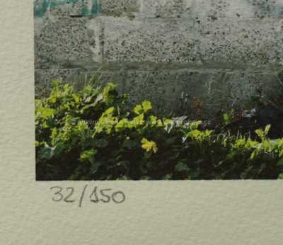  / Kolotoč /  Banksy