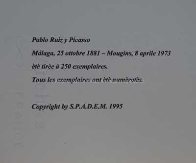  / Kubistická kompozice / Pablo Picasso