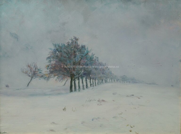  / Zavátá alej / František Kaván