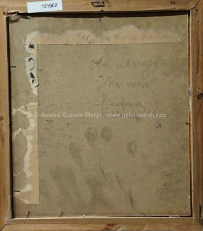  / Vesnička / Karel Langer