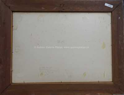  / Stařenka ze Sozopolu / Josef Liesler