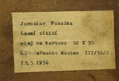  / Lesní zátiší / Jaroslav Panuška