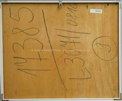  / Lesní potok / František Drtikol